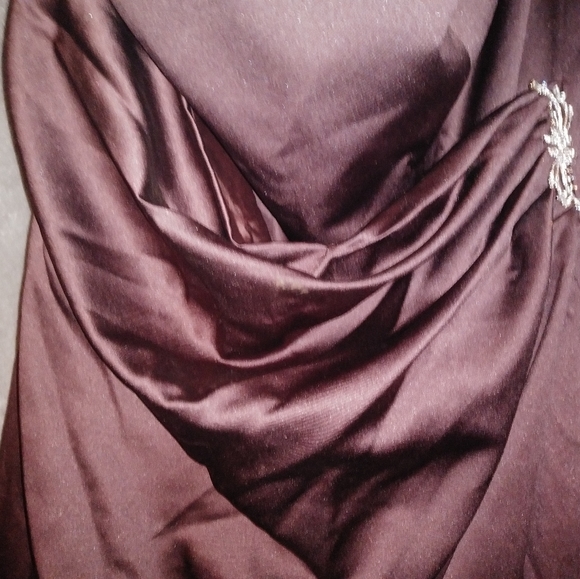 David's Bridal formal - Picture 4 of 4